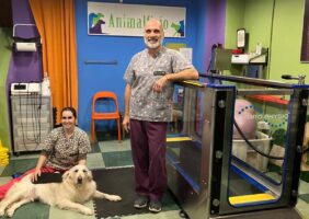 Miguel Capel Artero, el alma mater de la veterinaria Animalfisio.
