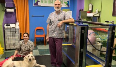 Miguel Capel Artero, el alma mater de la veterinaria Animalfisio.