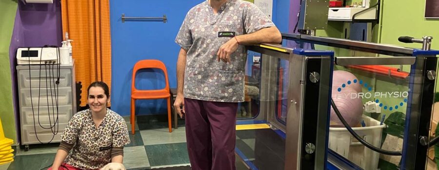 Miguel Capel Artero, el alma mater de la veterinaria Animalfisio.