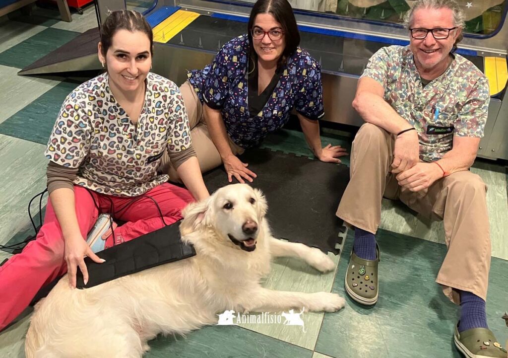 Equipo veterinario de Animalfisio.