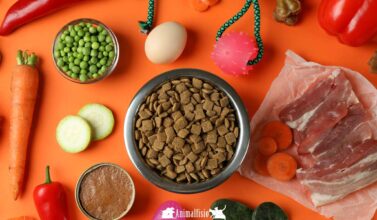 Nutricion animal y veterinaria en almeria