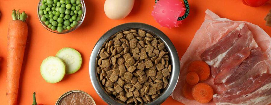 Nutricion animal y veterinaria en almeria