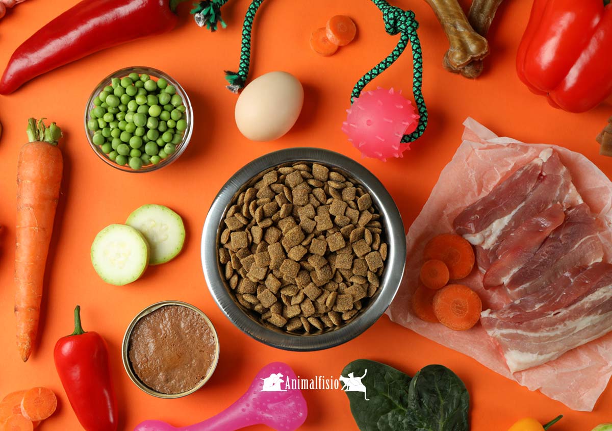 Nutricion animal y veterinaria en almeria