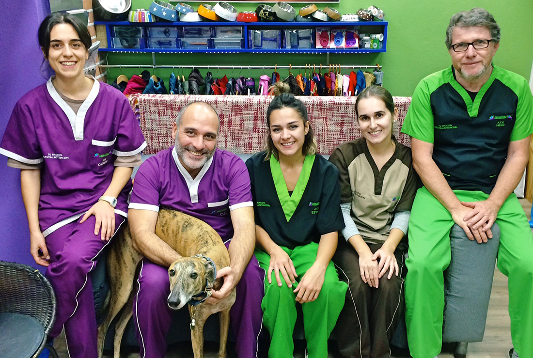 En Animalfisio cuidamos de la salud de tu mascota y ofrecemos una atención de calidad.